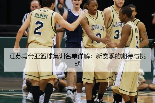 江苏肯帝亚篮球集训名单详解：新赛季的期待与挑战